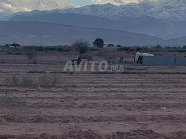 Terrain 7,5 Ha Route Agafay