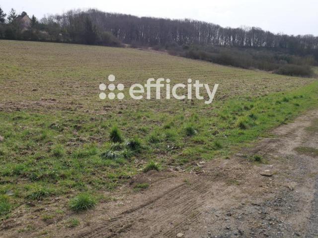 Terrain