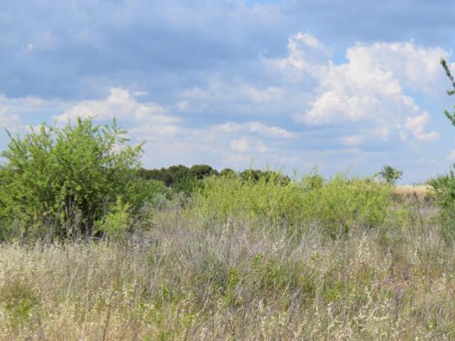 Terrain