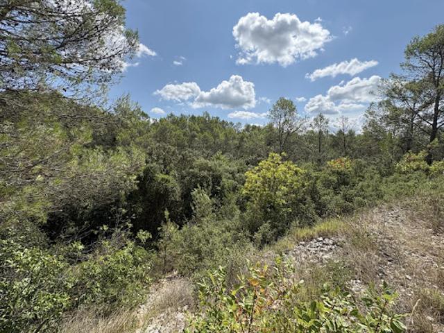 Terrain 8775 m2