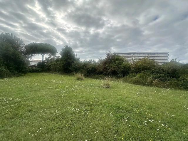 TERRAIN