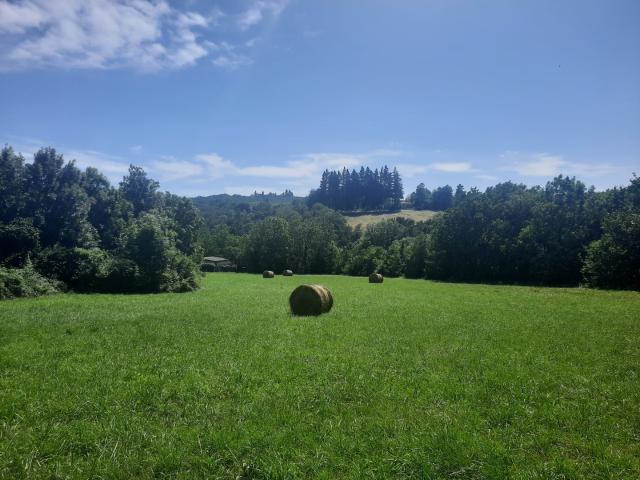 TERRAIN