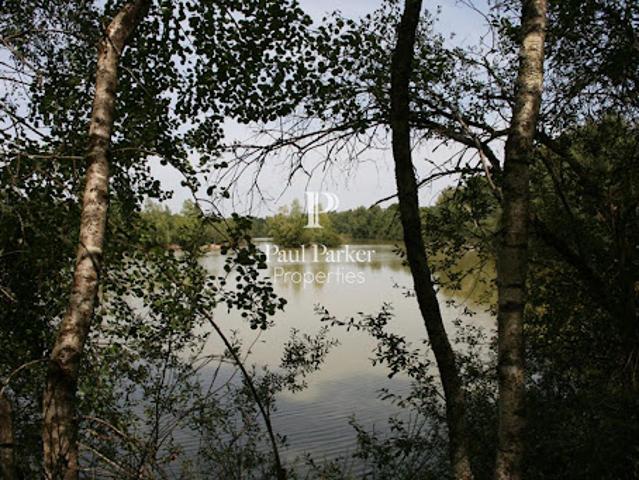 Terrain