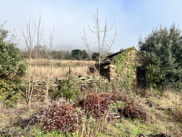 Terrain