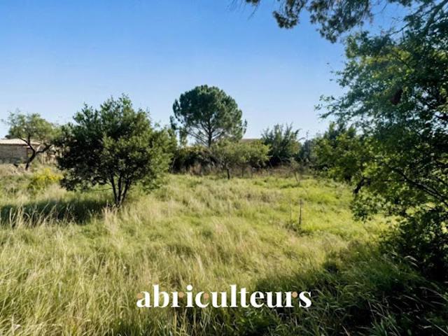 Terrain