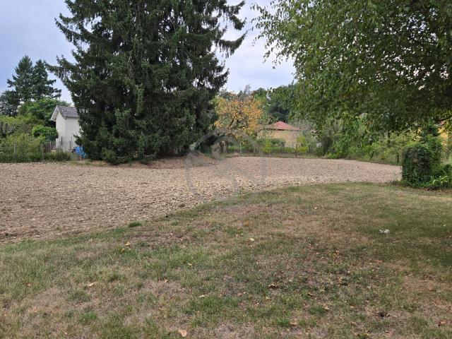 Terrain 800 M2