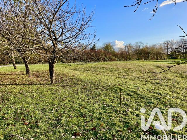 Terrain 800 m²