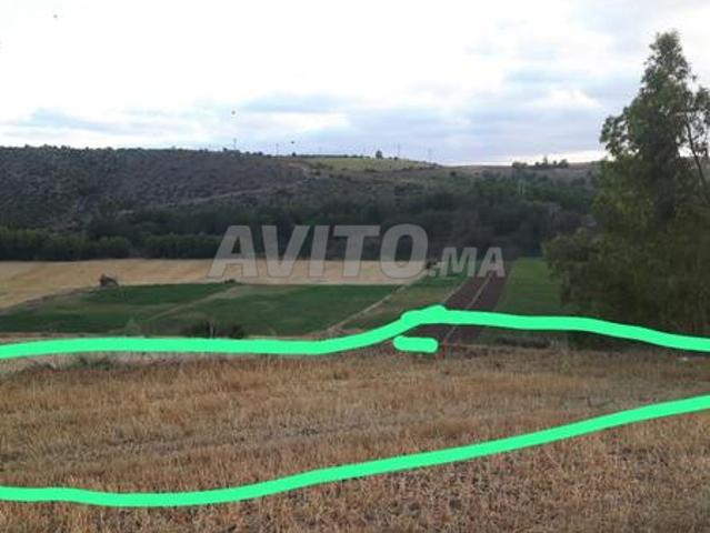Terrain 800m²
