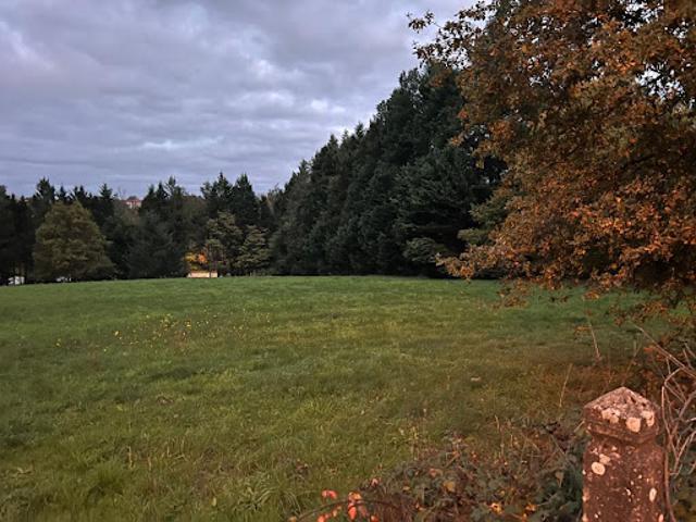 Terrain 8030 m2