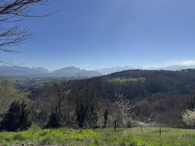 Terrain
