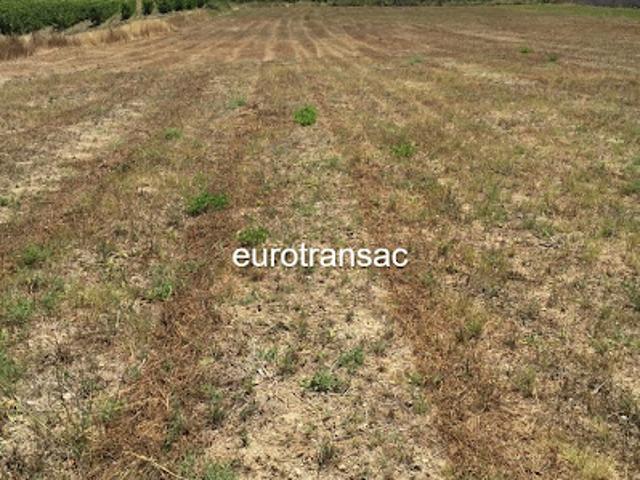Terrain 8130 m2
