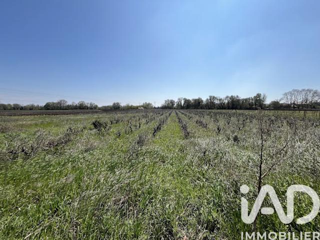 Terrain 8225 m2