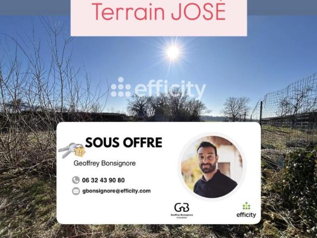 Terrain
