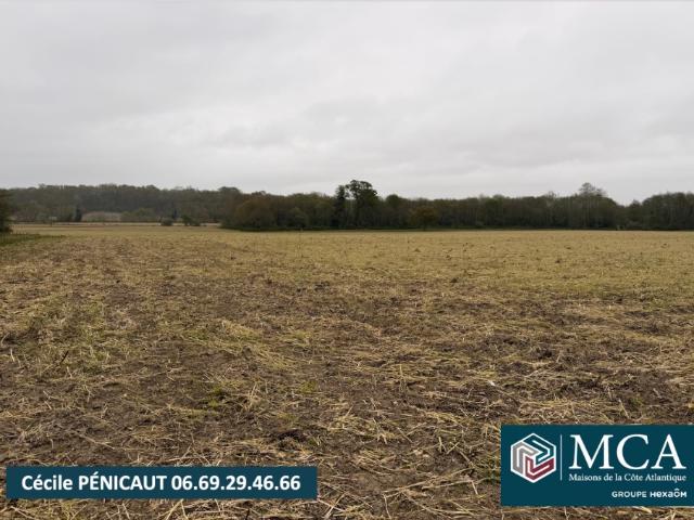 Terrain 839 m2 mimbaste