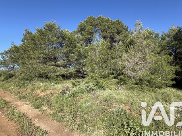 Terrain 8 424 m²