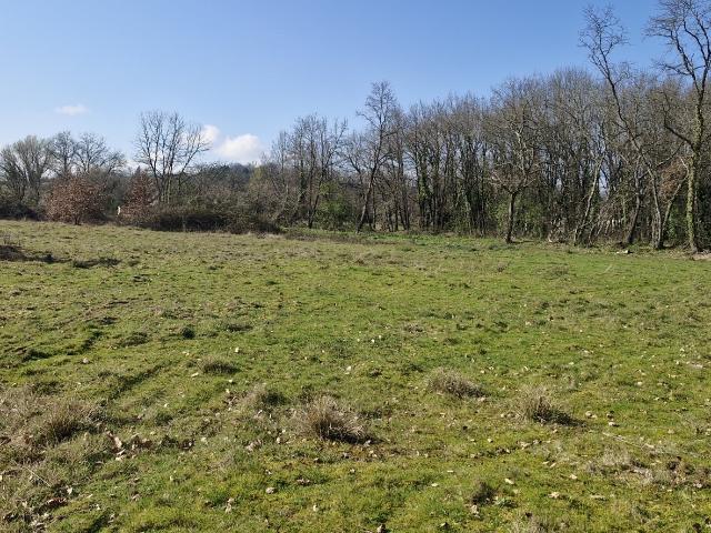 Terrain 8 654 m²