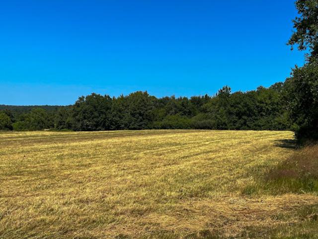 Terrain 9518 m2
