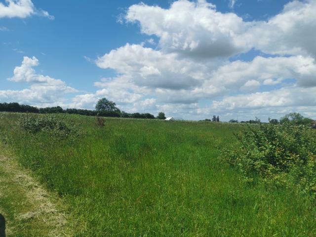 Terrain 955 m2 st pardon de conques