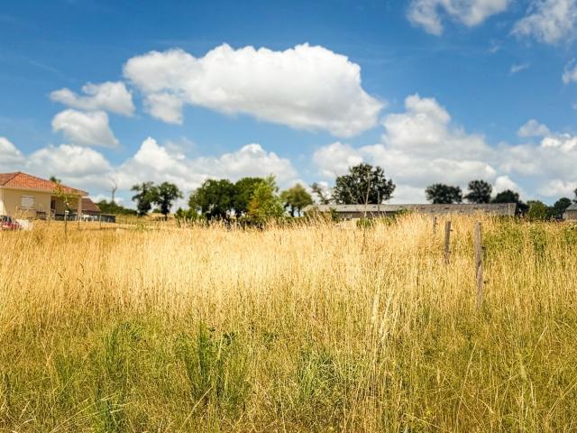 Terrain 979 m²