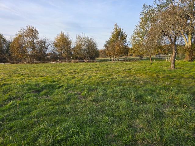 Terrain 919 m2 la force