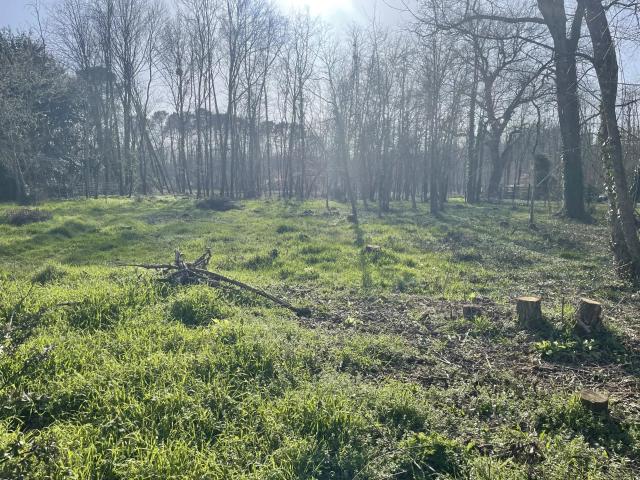 Terrain