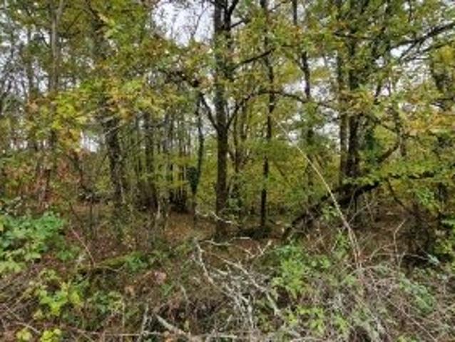 Terrain 9,17 hectares