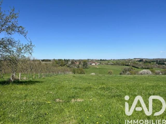 Terrain 9 800 m²