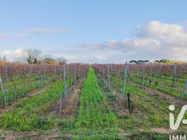 Terrain 9 hectares