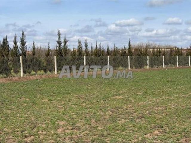 Terrains titrés à vendre à Bir Jdid pour l'agriculture et l'investissement