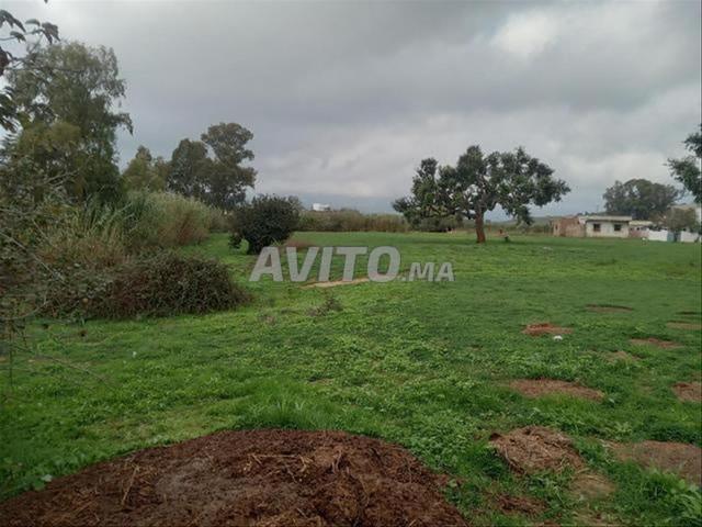 Terrains titrés à vendre – environs de Bir Jdid