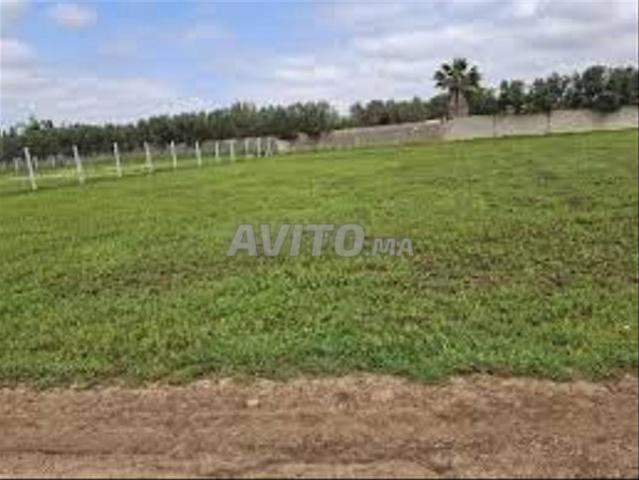 Terrains Titrés à Vendre régions d'Azemmour