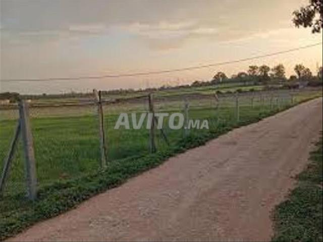 Terrains titrés à Azemmour — Pour habitation et investissement