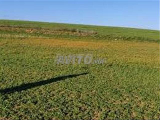 Terrains titrés à Bir Jdid pour habitation, construction et investissement