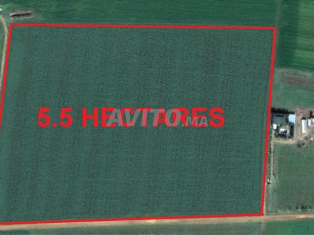 Terrains titrés à Bir Jdid pour habitation, construction et investissement