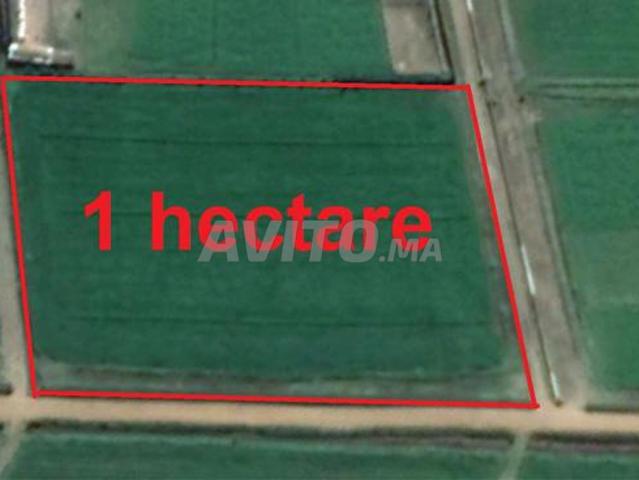 Terrains titrés à Bir Jdid pour projets agricoles