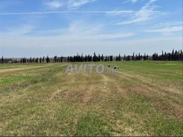 Terrains titrés à Bir Jdid pour projets agricoles