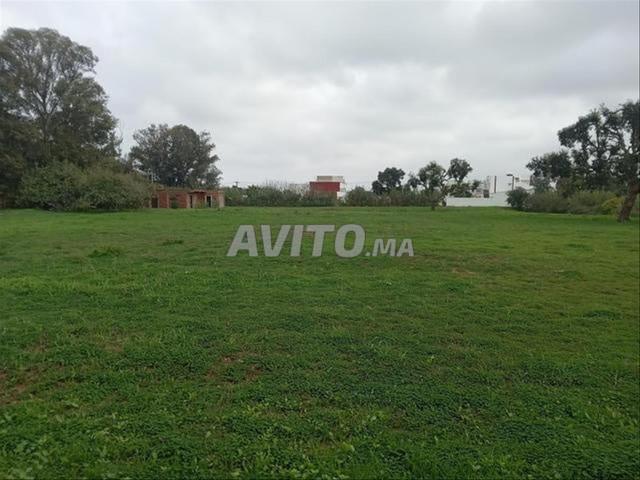 Terrains titrés à Sidi Rahal pour habitation et investissement