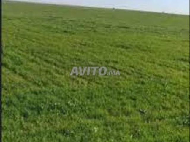 Terrains titrés agricoles à Bir Jdid