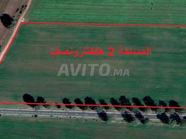 Terrains titrés Bir Jdid à vendre avec différentes superficies