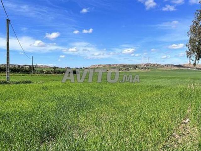 Terrains titrés Bir Jdid pour habitation ou investissement