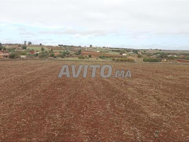 Terrains titrés Bir Jdid pour résidence, construction et investissement