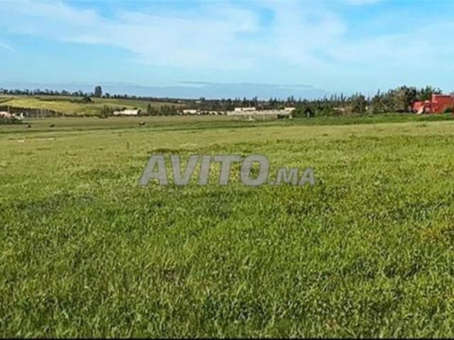 Terrains titrés Bir Jdid pour résidence, construction et investissement