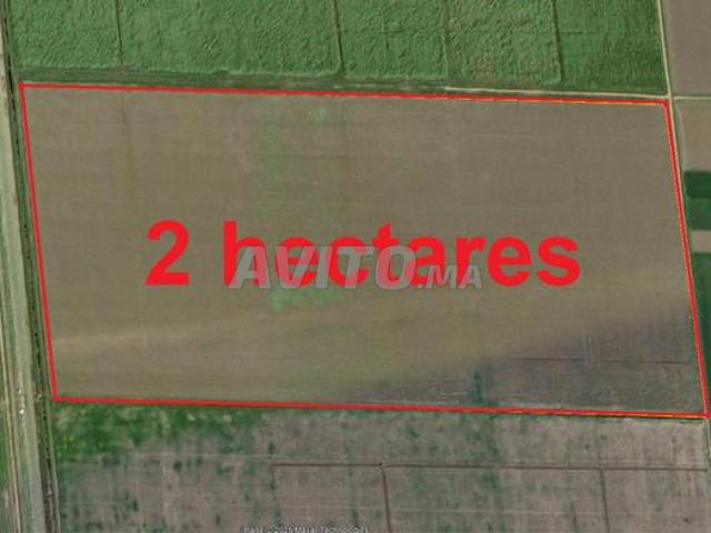 Terrains titrés dans la région de Bir Jdid pour habitation et investissement