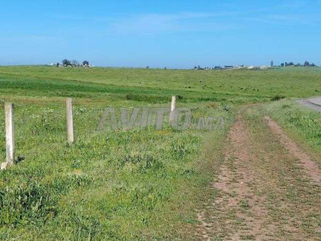 Terrains titrés dans la région de Bir Jdid pour habitation et investissement