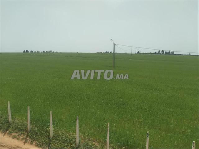 Terrains titrés et villas bâties à vendre | Bir Jdid