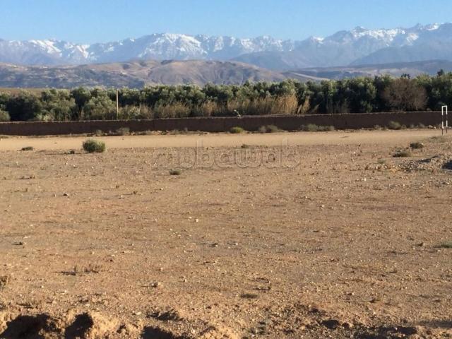 Terrains titrés SD1 autorisés à vendre