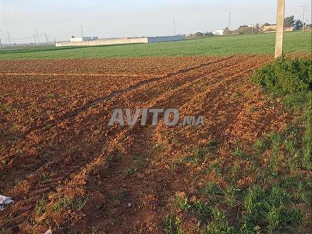 Terrains titrés pour construire une résidence avec vue sur la mer de Sidi Rahal