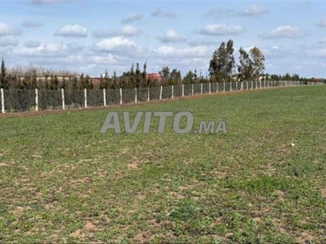 Terrains titrés pour habitation et investissement · Bir Jedid