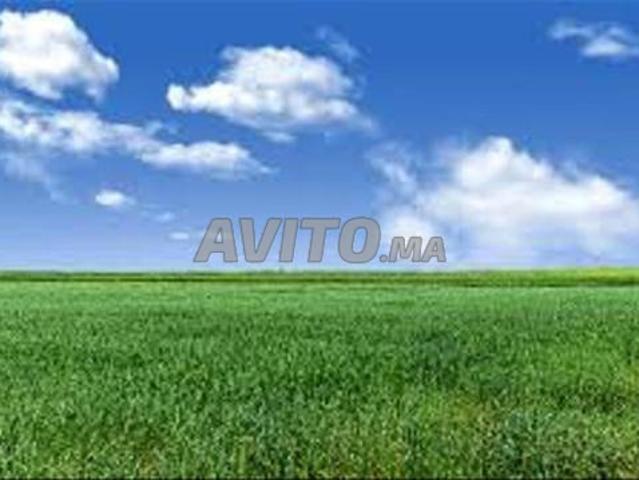 Terrains, Villas & Fermes Titrés – Tnine Chtouka
