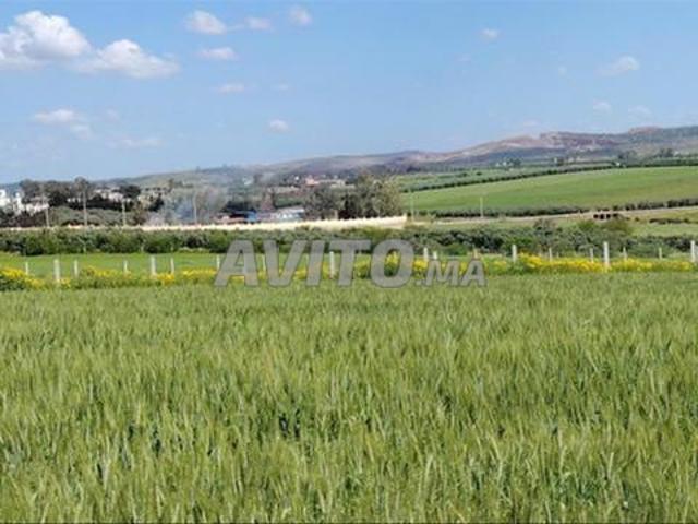 Terrains, Villas & Fermes Titrés – Sidi Rahal